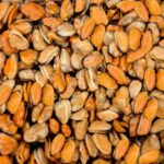 Mejillones sin concha