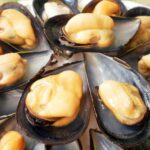 Mejillón media concha