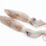 Chipirón entero bolsa de 1 kilo