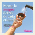 CATA DE VINOS DIFERENTE EL 25 DE ABRIL