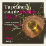 Tu primera cata de aceites de oliva virgen extra