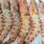 Langostino  Tigre caja  1k