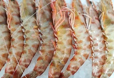 langostino tigre 19269 Langostino Tigre caja 1k - Imagen 1