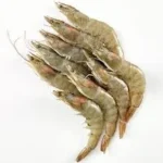 Langostino nº0