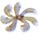 Cola de Langostino Vannamei Grande 1 k aprox